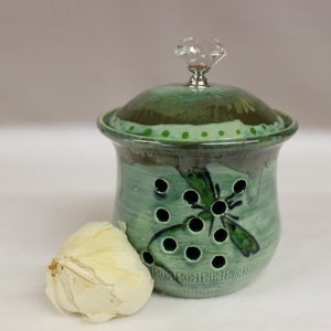 May include: A handcrafted ceramic garlic keeper in shades of green, featuring a dragonfly design and decorative holes. The lid is topped with a crystal knob. A whole garlic bulb rests beside the keeper.