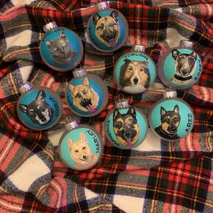Pet Portrait Ornaments