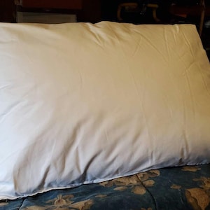 Natural Wool pillow