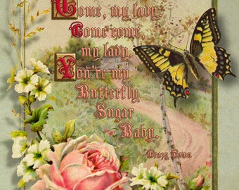 Schmetterling Sugar Baby 8 x 10 Druck