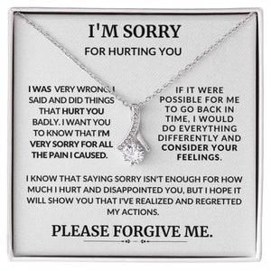 Sorry dat ik je pijn heb gedaan, spijt, vergeving, ik had het mis, gepersonaliseerde boodschap, 925 sterling zilveren ketting, cadeau, vrouw, vriendin, vriend