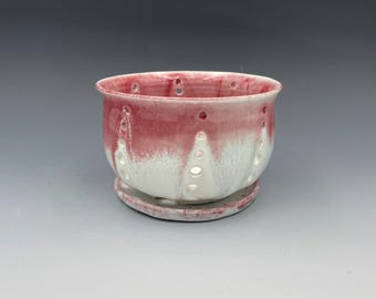 Cuenco y platillo pequeños de frutos rojos y blancos