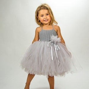 Light Grey Girl Tutu Dress. Baby Flower Girl Tulle Dress with | Etsy
