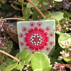 Springel tile 10 cm x 10 cm