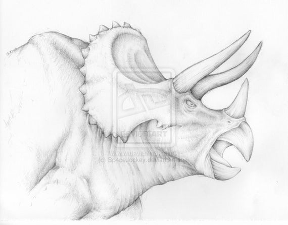 Arte de dinosaurio-dibujo a lápiz de Triceratops firmado HQ A4 - Etsy México