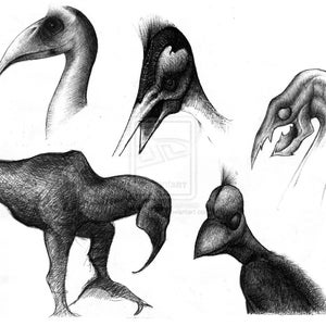 Alien Birds Drawing HQ Signed A4 Print