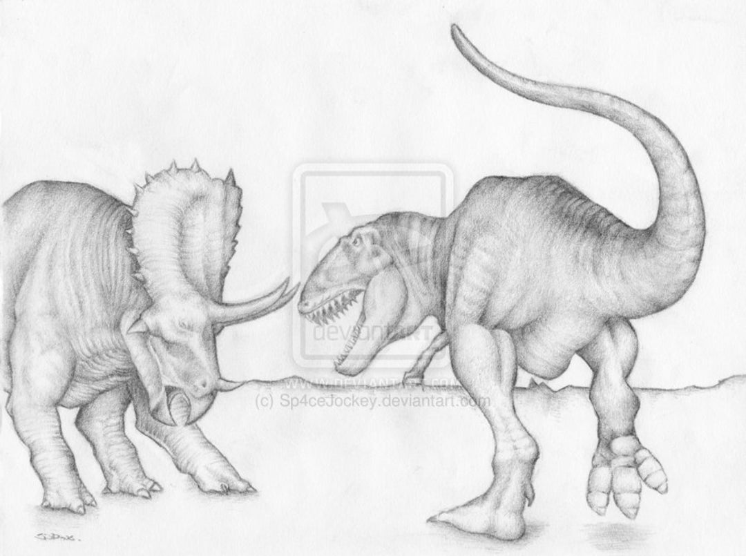 Buy Dinosaur Art Tyranosaurus Rex Vs Triceratops Pencil Drawing HQ Signed  A4 Print Online in India - Etsy