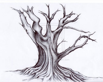 Tree Art - "Gnarley Old Tree" Ink Drawing High Quality Signed A4 Print