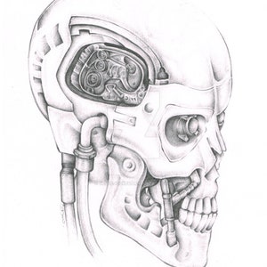 May include: A detailed pencil drawing of a robotic skull with visible internal mechanisms. The skull is drawn in profile, with the right side of the face exposed, revealing the intricate workings of the robot's internal systems.