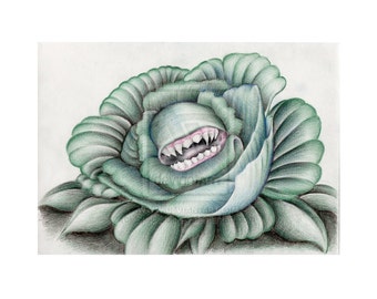 Fantasy Monster Art-Carnivorous Plant  Colour Pencil Drawing High Quality Signed A4 Print