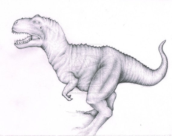 Dinosaurio Tyranosaurus Rex TRex dibujo lápiz de alta calidad - Etsy México