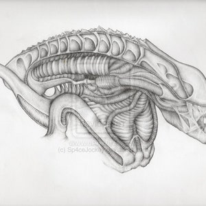 Alien Art Pencil Drawing Sketch Aliens Movie Fantasy High Quality Signed A4Print