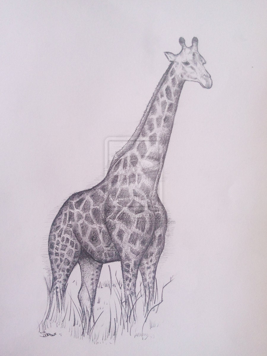 絵画 Girappy Toshi Yoshida, Early Morning, Edition 32/1200