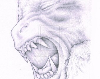 An American Werewolf in London Movie Pencil Drawing High Quality Signed A4Print