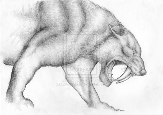 Tigre sable diente Cat arte lápiz dibujo bosquejo alta calidad - Etsy México