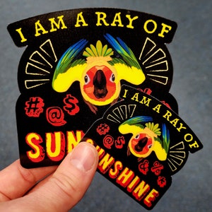 Ray of Sunshine Sticker || Weatherproof