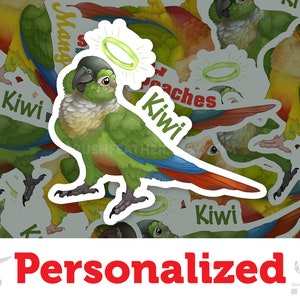 Pegatina personalizada de ángel conure // Resistente a la intemperie