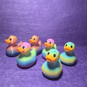 Regenbogen-Enten