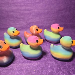20 Stück Regenbogen Enten Bundle