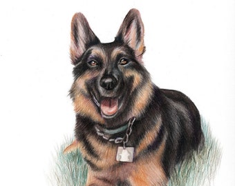 Custom Pet Portrait - Color