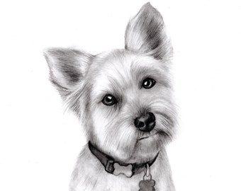 Pet Portrait Additional Print