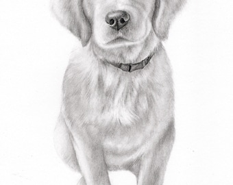 Made to Order Custom Dog Pencil Portraits - Great gift