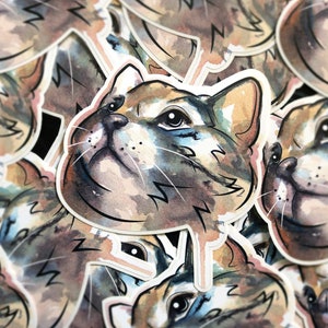 Cat Sticker - Dexter