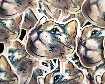 Cat Sticker - Dexter