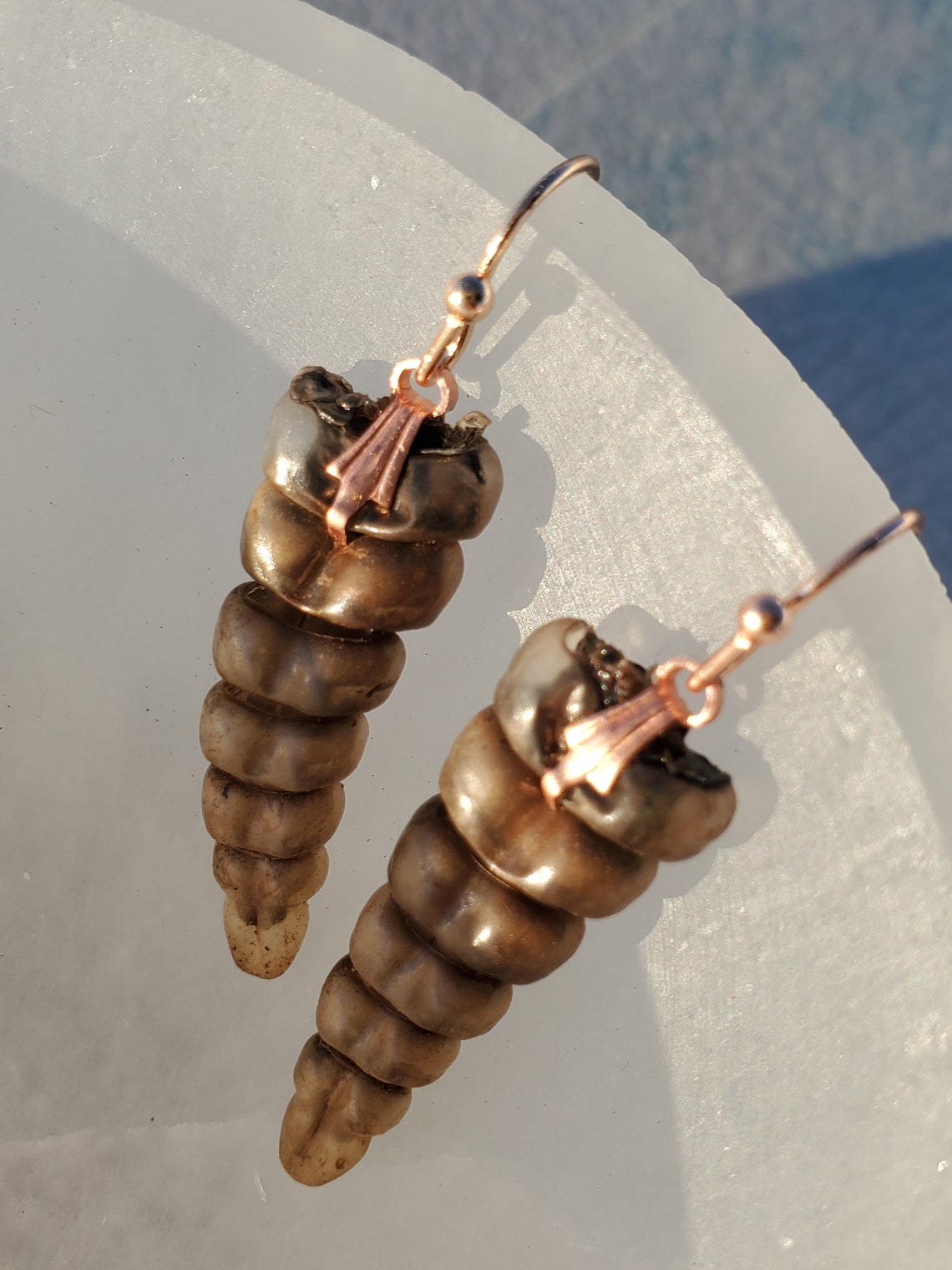 Authentic rattlesnake tail earrings Etsy