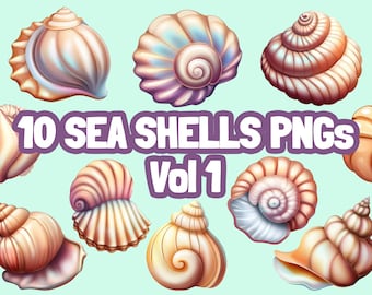 Sea Shell PNG pack! Sea Shell PNG, Sea Shell SVG, Sea Shell clipart, Sea Shell, Sea Shell download, Sea Shell Illustration, Sea Shell design