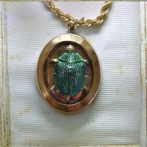 May include: A gold-toned oval pendant necklace featuring a central iridescent green beetle specimen encased within a smooth metal frame. The pendant hangs from a twisted gold-tone rope chain, showcasing a textured, metallic insect shell.