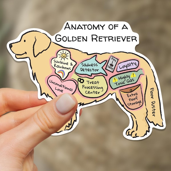 Anatomy of a Golden Retriever Sticker | Funny Dog Gift