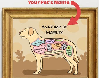 Personalized Yellow Lab Art Print | Anatomy of a Yellow Lab | Custom Dog Wall Art | Yellow Labrador Artwork