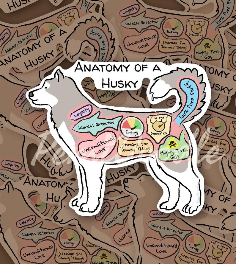 Anatomy of a Husky Sticker | Funny Dog Gift - Etsy