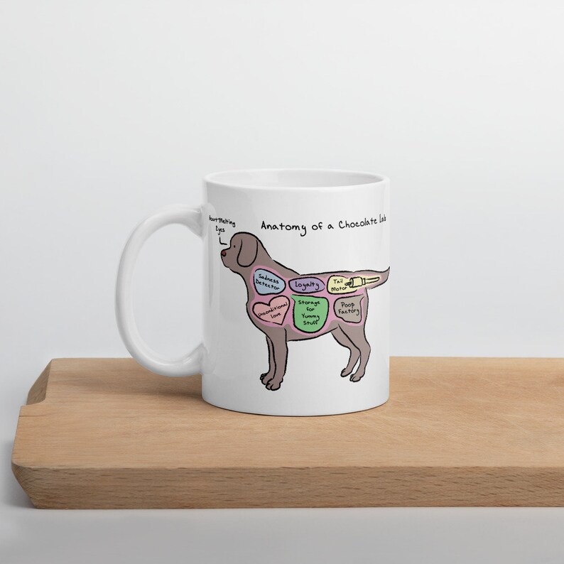 Anatomy of a Chocolate Lab Funny Labrador Retriever Mug Etsy