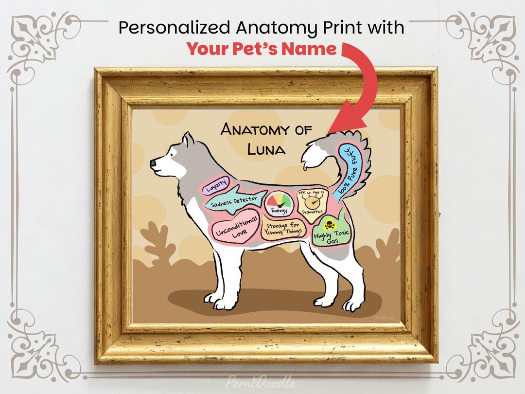 Personalized Husky Art Print | Anatomy of a Husky | Custom Dog Wall Art ...