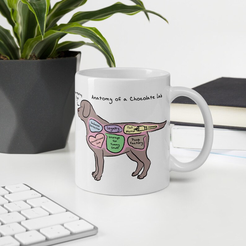 Anatomy of a Chocolate Lab Funny Labrador Retriever Mug Etsy
