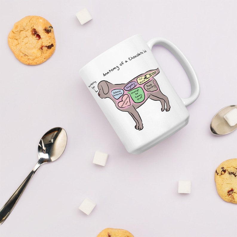 Anatomy of a Chocolate Lab Funny Labrador Retriever Mug Etsy