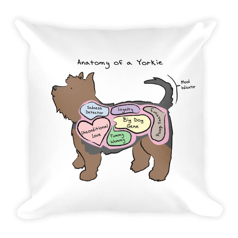 Anatomy of a Yorkie Funny Yorkshire Terrier Dog Square Etsy