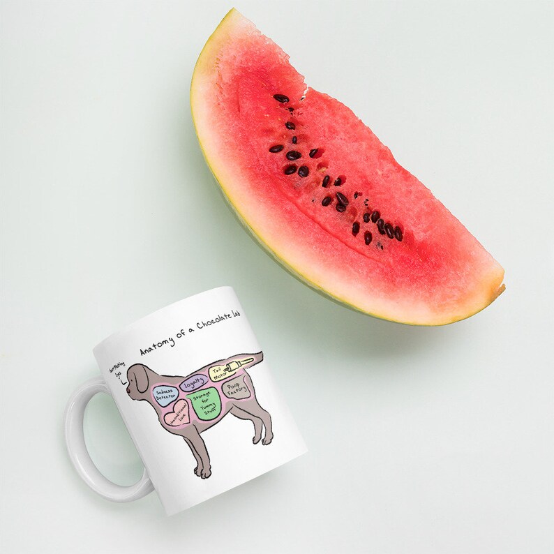 Anatomy of a Chocolate Lab Funny Labrador Retriever Mug Etsy