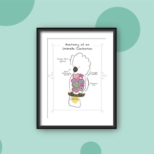 Anatomy of an Umbrella Cockatoo | Wall Art | Unframed Print