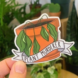 以下が含まれることがあります： オレンジ色の鉢植えの中でしおれている植物の漫画イラストが描かれたステッカー。植物は緑色の葉を持ち、バナーには黒い文字で「PLANT MURDERER」と書かれています。ステッカーは手で持たれており、背景には緑色の植物があります。