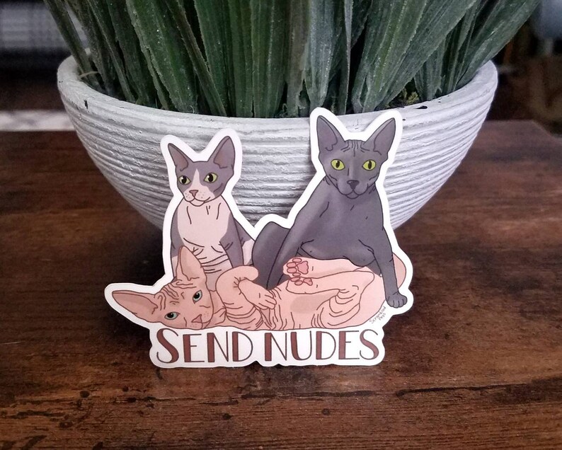 Send Nudes Sphynx Cat Nakey Cat Sticker Waterproof Hairless - Etsy Canada