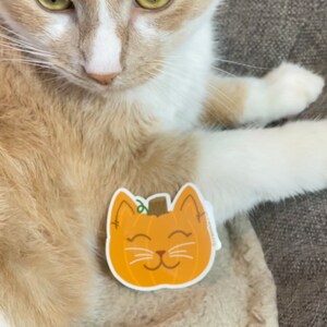 May include: A tan and white cat with green eyes and a pumpkin-shaped sticker. The sticker is orange with a smiling cat face and a green stem. The cat is lying on a light-colored surface.