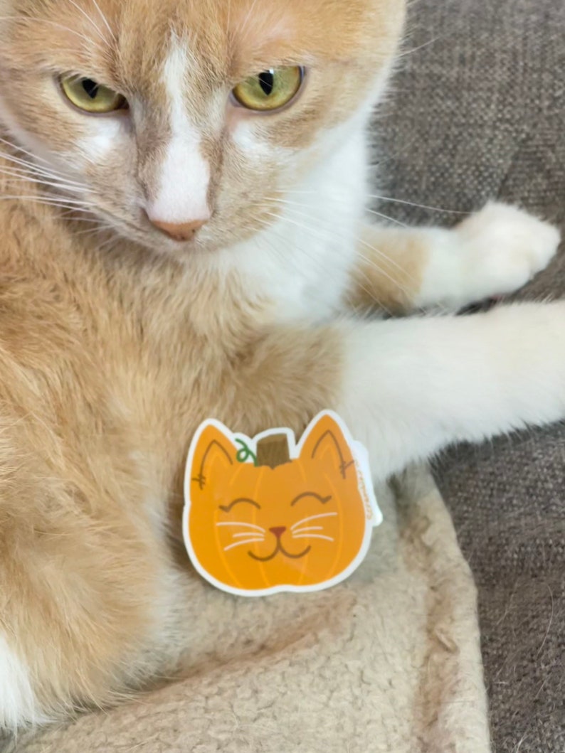 May include: A tan and white cat with green eyes and a pumpkin-shaped sticker. The sticker is orange with a smiling cat face and a green stem. The cat is lying on a light-colored surface.