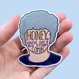 Honey You’ve Got a Big Storm Comin’ You Could Stop at Five or Six Stores or Just One Vinyl Sticker Dishwasher Safe Waterproof Viral Video