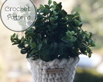 Pianta accogliente modello all'uncinetto / uncinetto / fai da te / succulente / modello all'uncinetto / uncinetto primaverile / decorazione primaverile / fioriera all'uncinetto / decorazione per la casa