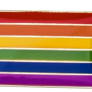 LGBTQA Traditional Rainbow flag lapel pin image 1