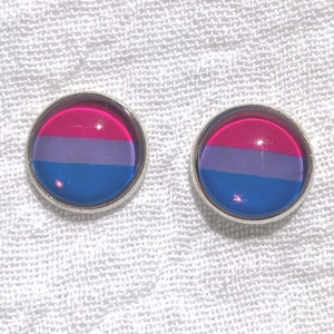 LGBTQA Bisexual flag earrings image 1