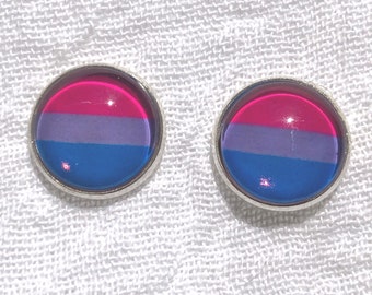 LGBTQA Bisexual flag earrings